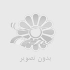 توقف خودروي تسلا با راننده بيهوش توسط پليس 